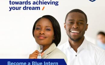 Stanbic IBTC Bank Blue Internship Program 2024