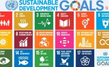 Georg Forster Research Fellowship for Sustainable Development 2024 | Funded