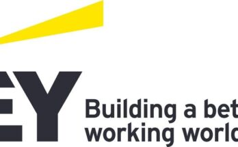 Ernst and Young (EY) Technology Risk Graduate Programme 2025